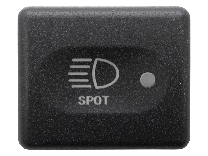 Switch facia - Spot Light