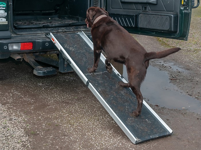 Dog Ramp