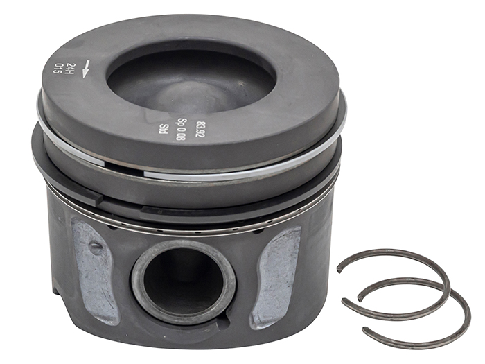 Piston & Ring Set