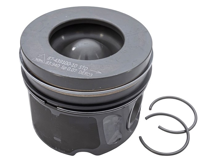 Piston & Ring Set