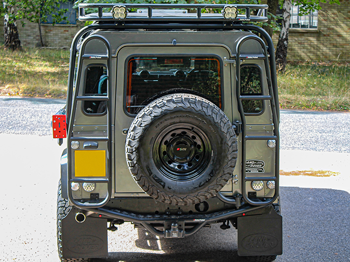 Roof Access Ladder