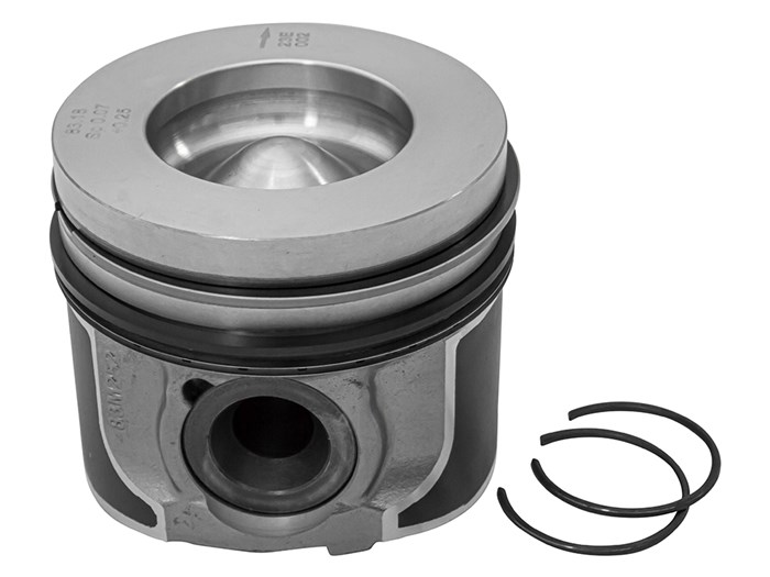 Piston & Ring Set