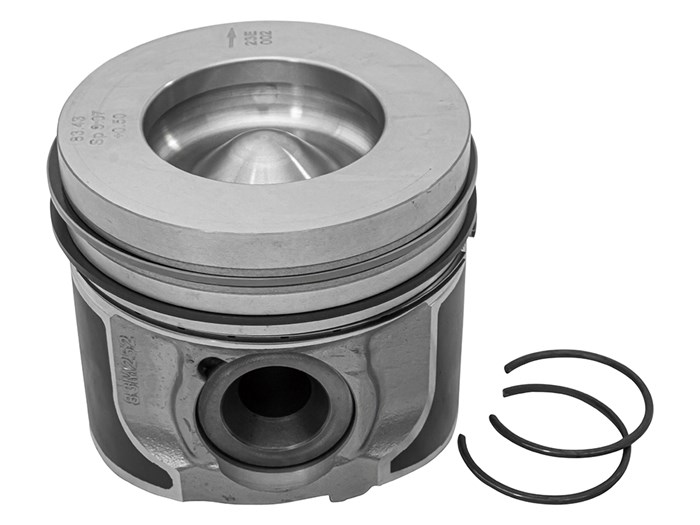 Piston & Ring Set