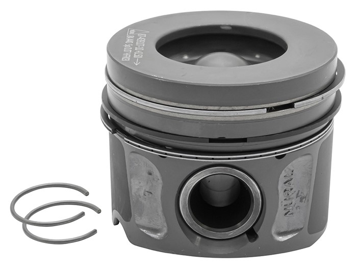 Piston & Ring Set