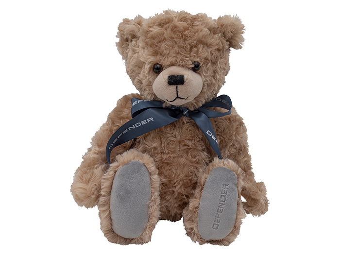 Defender Bear