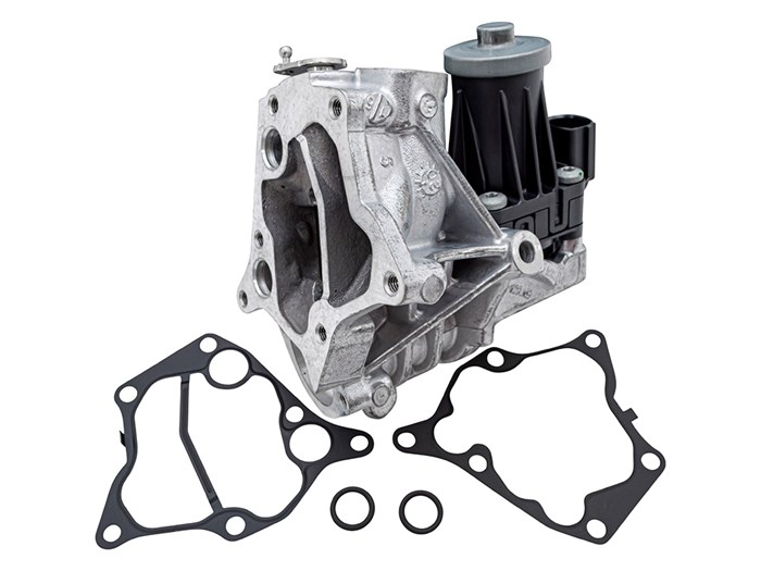 EGR Valve & Gaskets