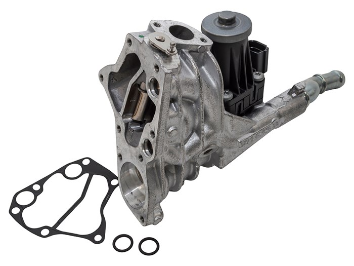 EGR Valve & Gaskets