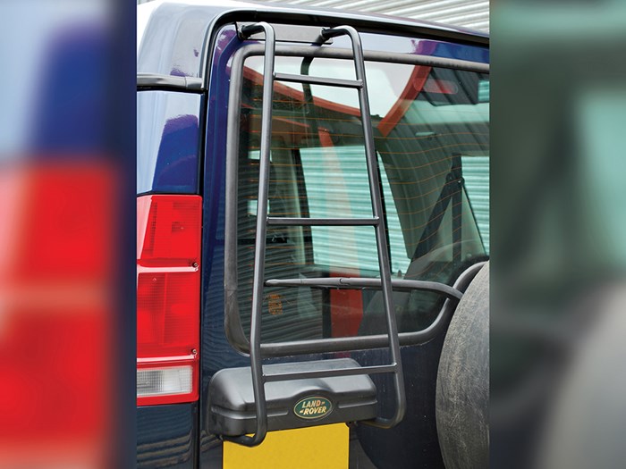 Roof Access Ladder