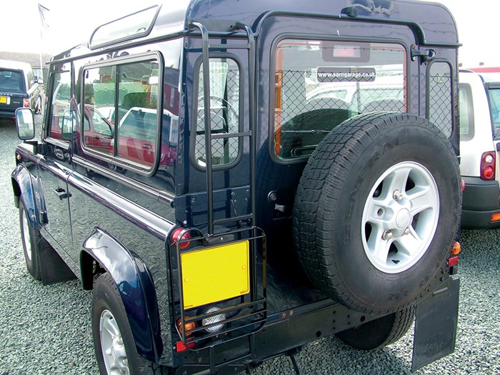 Roof Access Ladder